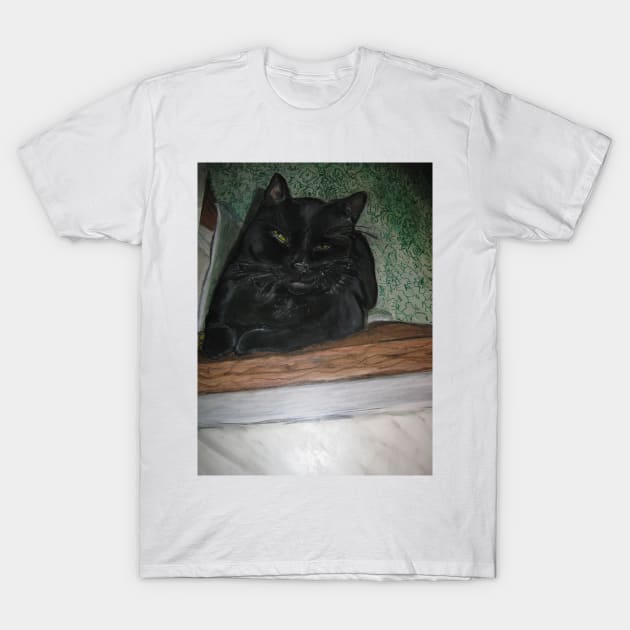 Demon Cat T-Shirt by Reilly's Fine Art and Designs